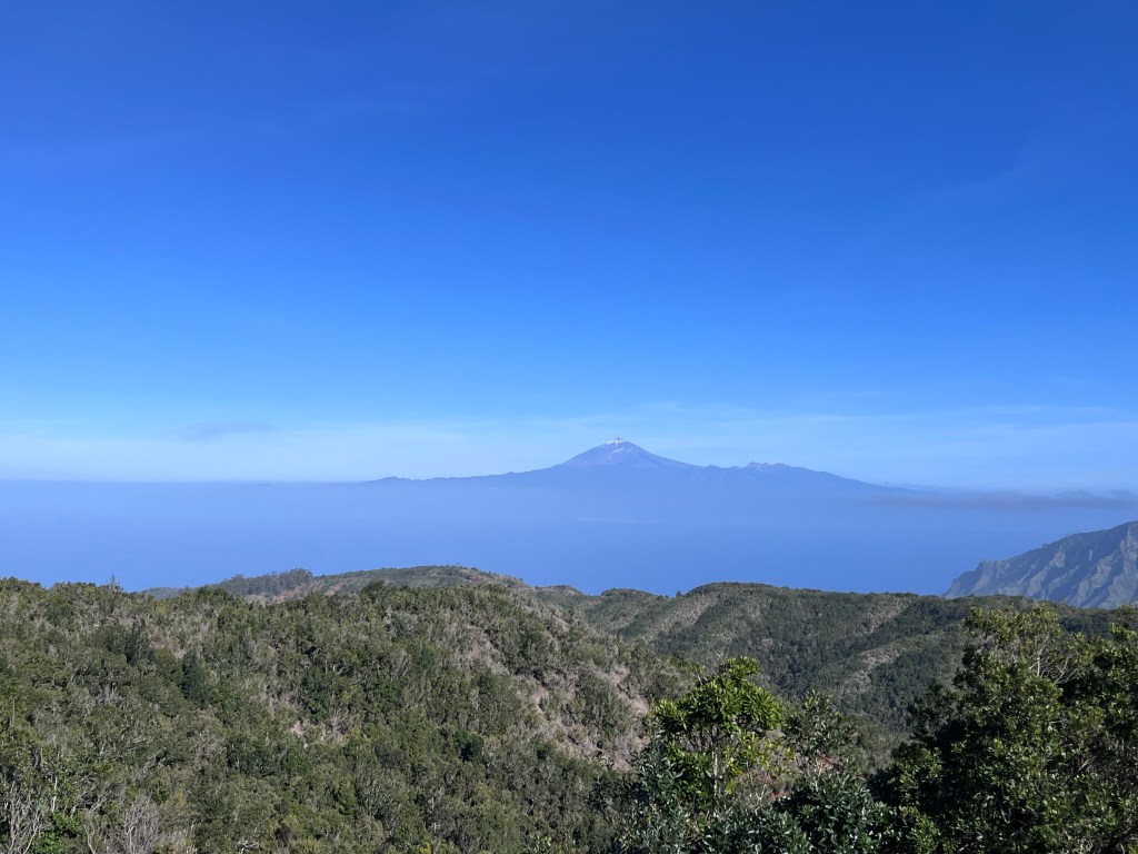 Happy birthday to me